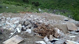 1559152_723488384335968_681195392_o