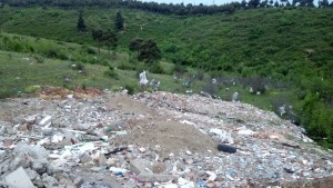 1596205_723488427669297_92404736_o (1)