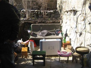 1619461_10151965759859779_783627003_n