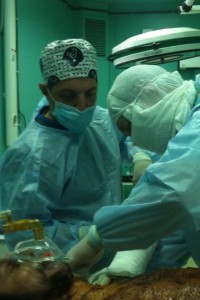 1958282_711096455579517_620966358_n