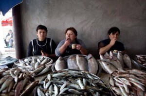 1961370_10151986239374779_61435546_n (1)