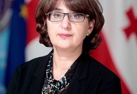მთავრობა თიბილოვის ოლიმპიადაზე მიწვევის შესახებ ინფორმაციას აზუსტებს