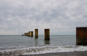 10149928_721698174528014_35552037_n