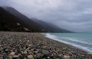 10154790_721696974528134_1824420582_n