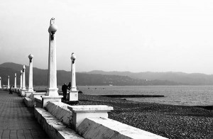 1062347_712601272104371_2069200818_n