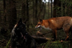 1497496_10202695459220570_1617928513_n