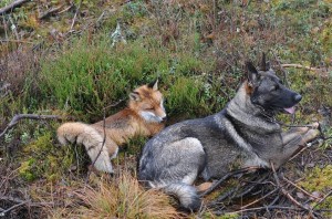 1554340_10202695460100592_1516416335_n