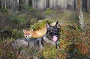 1600996_10202695458820560_34926550_n