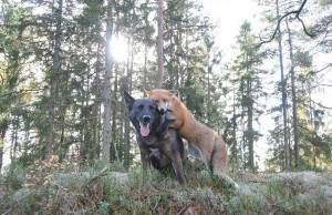 1888581_10202695459100567_957525539_n