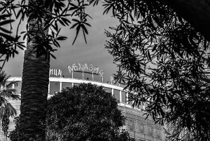 1932054_712600782104420_1489032857_n