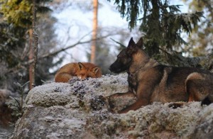 1978673_10202695460500602_195389727_n