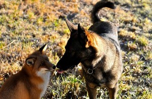 47421_10202695458180544_409959055_n