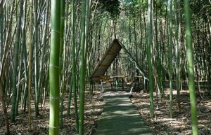 967996_721697184528113_2102822323_n