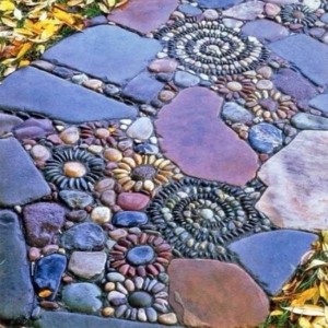 10153340_725504854147346_763568776_n