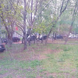 1012589_10203066017684300_8828910969764830384_n