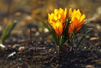 10173813_10203160774813169_4338444845571675482_n