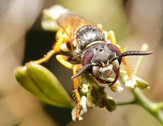 10302213_10203160774213154_8312217950431563101_n