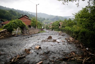 10341463_10203161452190103_6723417187178527655_n (1)