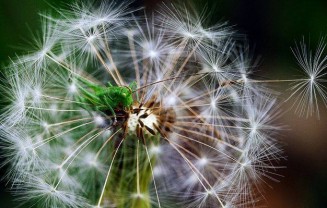 10353129_10203160774973173_5446079575648627163_n