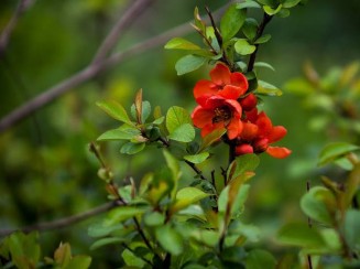 10354962_10203160774373158_2164303584372570018_n