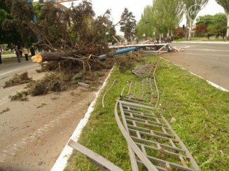 1544477_10203079116291757_3109990603308596397_n