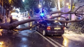 10425792_758827517473077_603170869_n