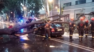 10439676_758827407473088_1933900116_n