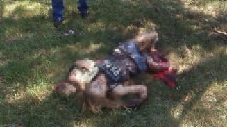 10522096_489234591220228_7792974657962792749_n