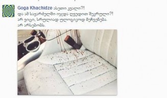 10566440_274700729402784_1172802748_n