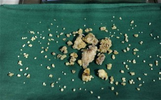 10569873_10203198669265258_890793999_n