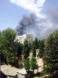 10589680_10203231933816851_495415294_n