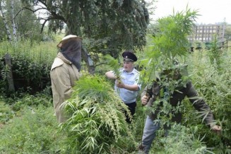 10402926_499129363564084_489700456840786385_n