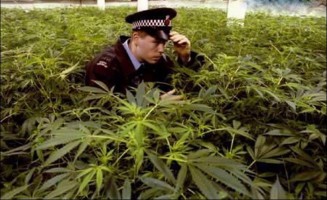 10570495_499129493564071_5497550714566089074_n