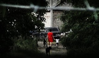 10608830_883914598303501_38869048_n