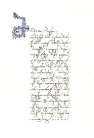 10621791_893009824060645_1549229424_n