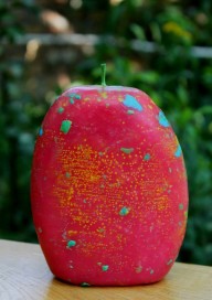 10622170_891378837557077_1835423951_n