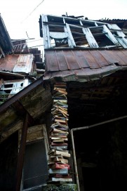 10656151_892420847452876_1320472754_n