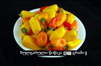 934803_494517247358629_195689456916999248_n