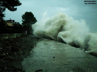 10276327_10152422576464779_815563558_n