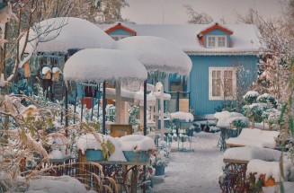 10584422_895298747165086_823669520_n