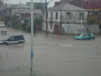 10612836_823726240991142_7360325502492927105_n