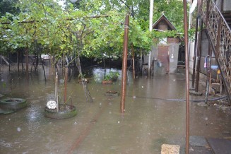 1061596_780453205333900_997660252_n