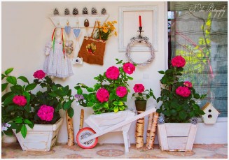 10634349_895298683831759_445619400_n