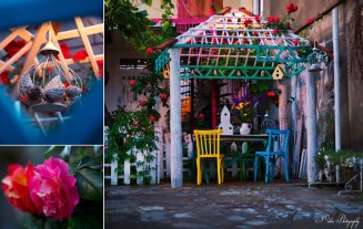 10638041_895298447165116_1404337065_n