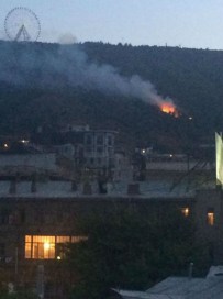 10653713_10152686307883958_1723658349892362999_n