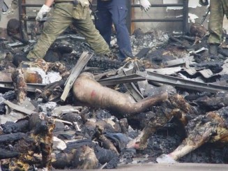 10656473_826890090684564_2105516592_n