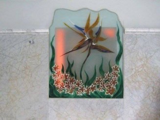 10668370_10202929179376718_243000070_n