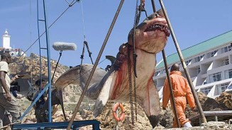 10668780_750040611728568_88534716_n