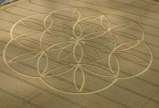 10682048_737937416272221_105310571_n