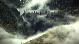 10707382_10202988895429582_1533147234_o